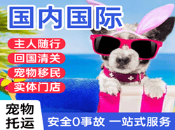 佛山沙堤机场快运国际宠物托运 【国